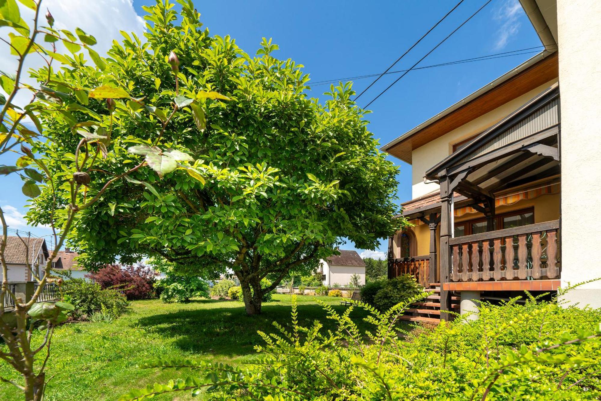 La Clef Des Songes Bed and Breakfast Merzmuhler Buitenkant foto