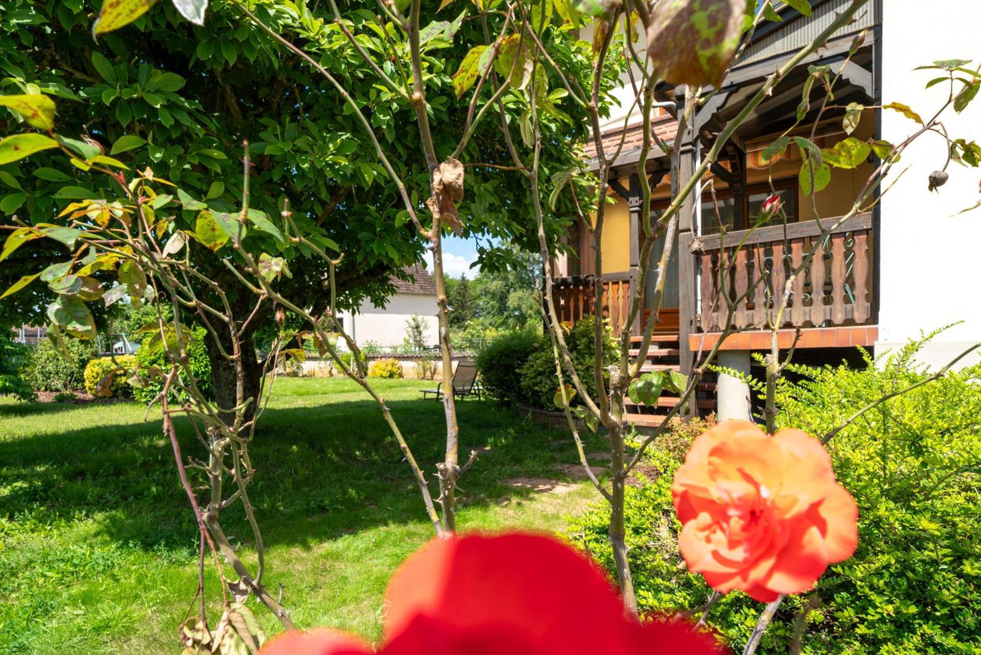La Clef Des Songes Bed and Breakfast Merzmuhler Buitenkant foto