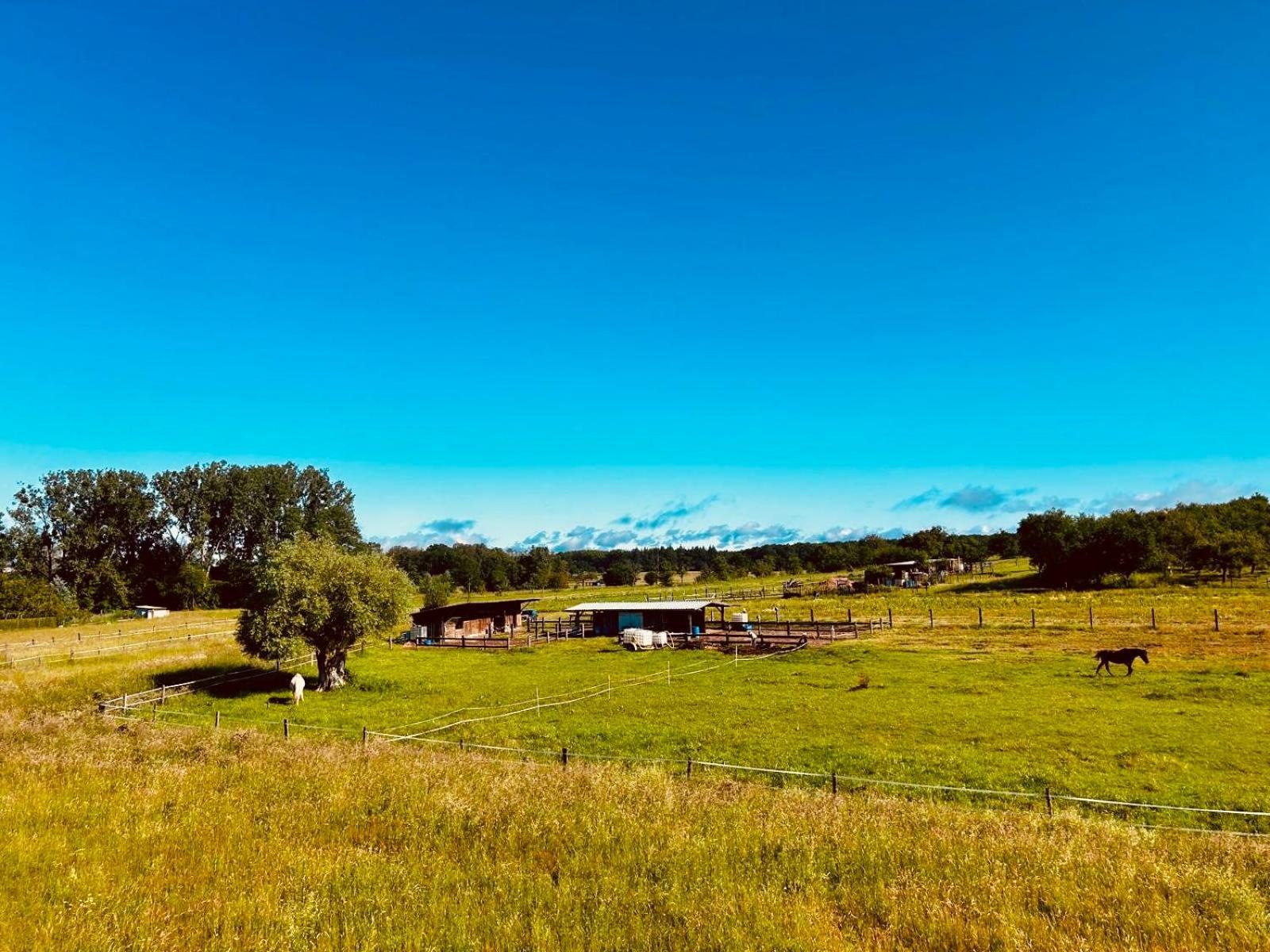 La Clef Des Songes Bed and Breakfast Merzmuhler Buitenkant foto